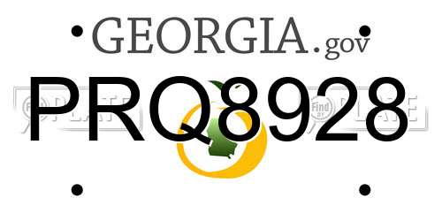 PRQ8928 Georgia License Plate