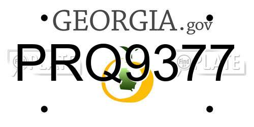PRQ9377 Georgia License Plate