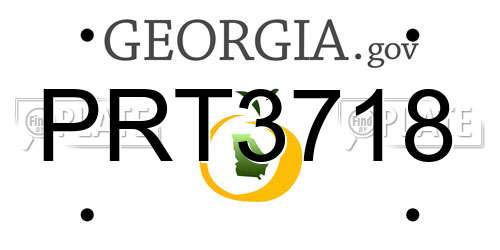 PRT3718 Georgia License Plate