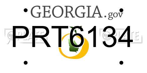 PRT6134 Georgia License Plate