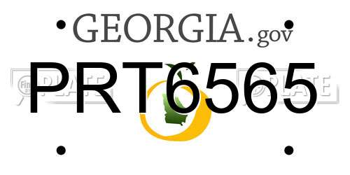 PRT6565 Georgia License Plate