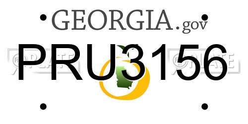 PRU3156 Georgia License Plate