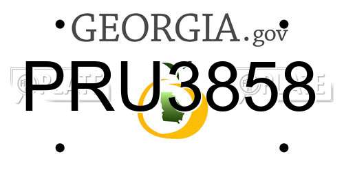 PRU3858 Georgia License Plate