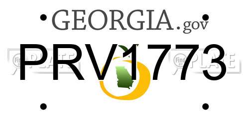 PRV1773 Georgia License Plate