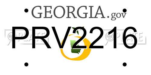 PRV2216 Georgia License Plate