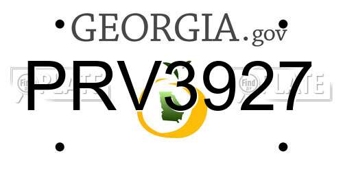 PRV3927 Georgia License Plate