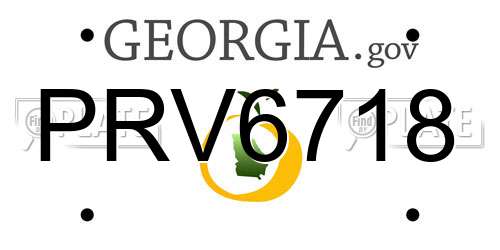 PRV6718 Georgia License Plate