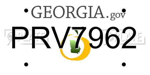 PRV7962 Georgia License Plate