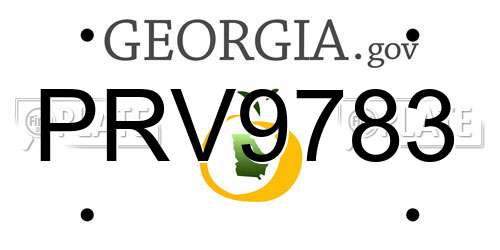 PRV9783 Georgia License Plate