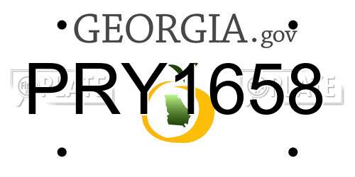 PRY1658 Georgia License Plate
