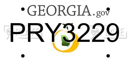 PRY3229 Georgia License Plate