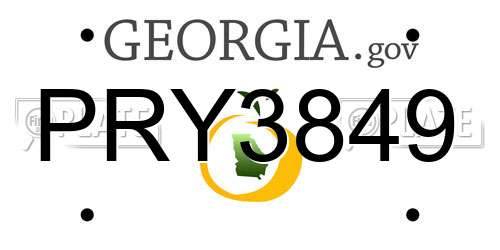 PRY3849 Georgia License Plate