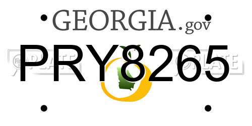PRY8265 Georgia License Plate