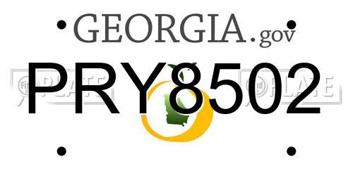 PRY8502 Georgia License Plate