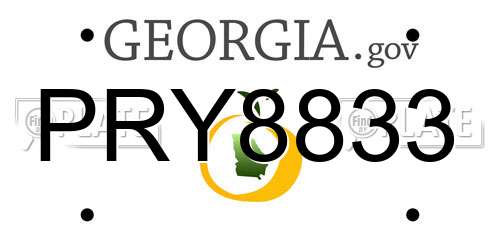 PRY8833 Georgia License Plate