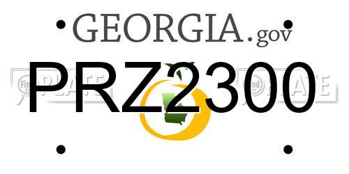 PRZ2300 Georgia License Plate