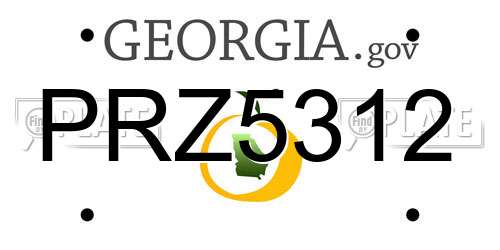 PRZ5312 Georgia License Plate