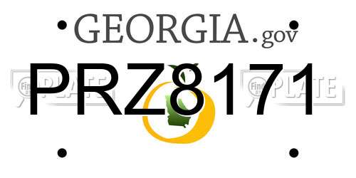 PRZ8171 Georgia License Plate