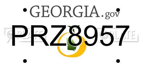 PRZ8957 Georgia License Plate