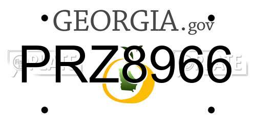 PRZ8966 Georgia License Plate