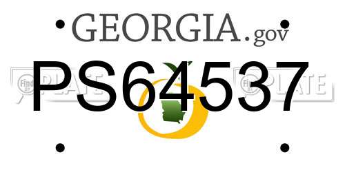 PS64537 Georgia License Plate