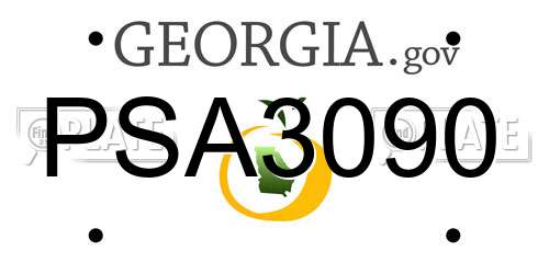 PSA3090 Georgia License Plate