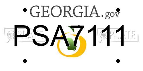 PSA7111 Georgia License Plate
