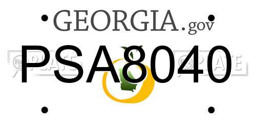 PSA8040 Georgia License Plate