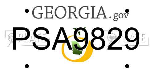 PSA9829 Georgia License Plate