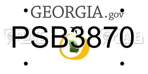 PSB3870 Georgia License Plate
