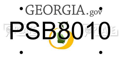PSB8010 Georgia License Plate