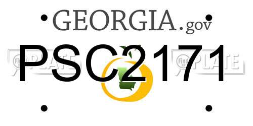 PSC2171 Georgia License Plate