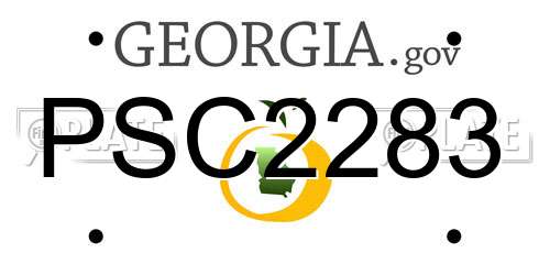PSC2283 Georgia License Plate