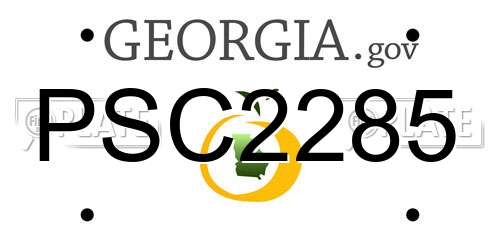 PSC2285 Georgia License Plate