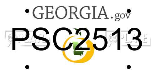 PSC2513 Georgia License Plate