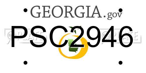 PSC2946 Georgia License Plate