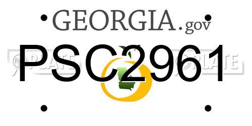 PSC2961 Georgia License Plate