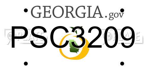 PSC3209 Georgia License Plate