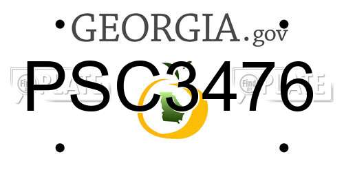 PSC3476 Georgia License Plate