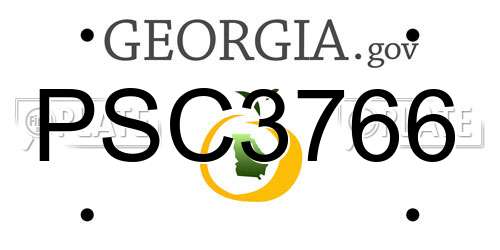 PSC3766 Georgia License Plate
