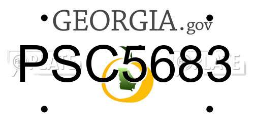 PSC5683 Georgia License Plate