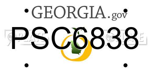 PSC6838 Georgia License Plate