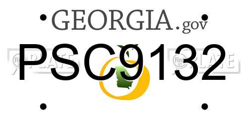 PSC9132 Georgia License Plate