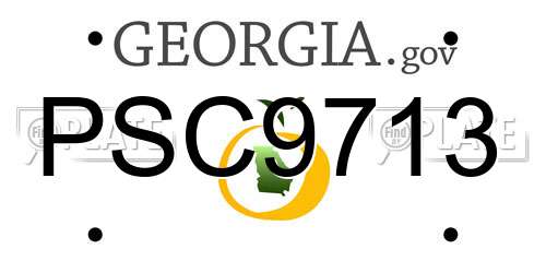 PSC9713 Georgia License Plate