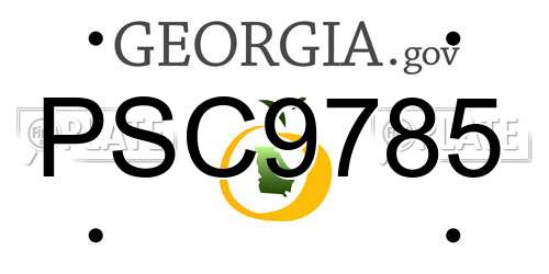 PSC9785 Georgia License Plate