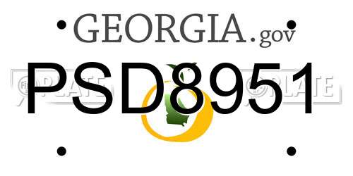 PSD8951 Georgia License Plate