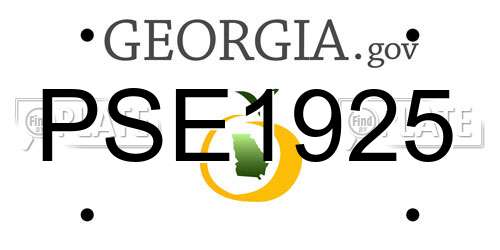 PSE1925 Georgia License Plate