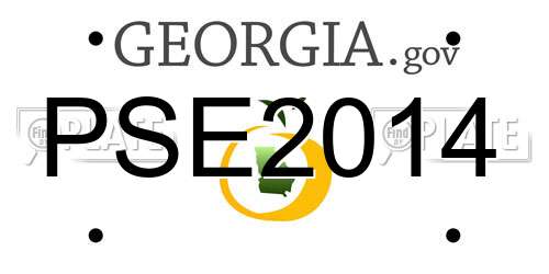 PSE2014 Georgia License Plate