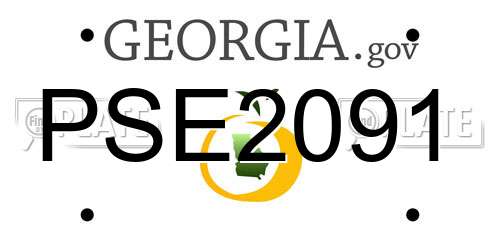 PSE2091 Georgia License Plate