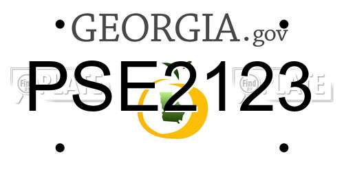 PSE2123 Georgia License Plate